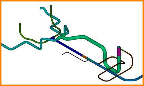 FEM model in analysis of piping system working above creep range (modelo fem - elementos finitos)