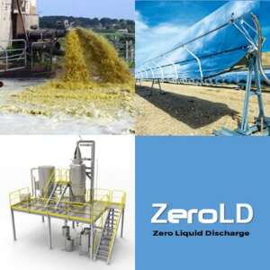 zerold